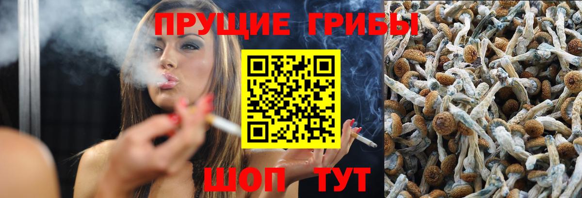 Псилоцибиновые грибы мухоморы Первоуральск