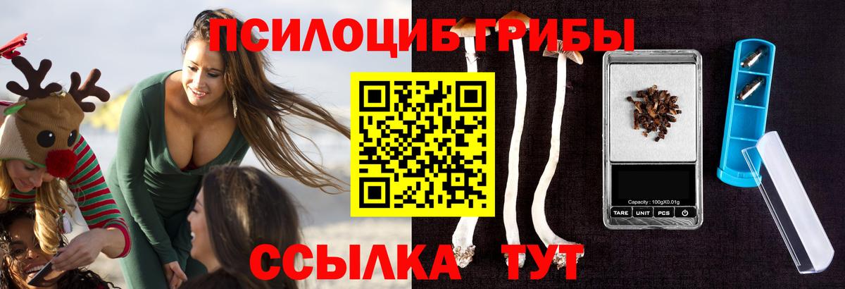 Псилоцибиновые грибы мухоморы  Псилоцибиновые грибы GOLDEN TEACHER  Вход с VPN  Первоуральск 